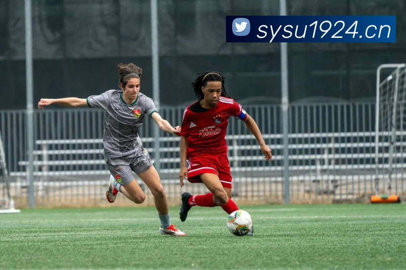 多媒体互动体验